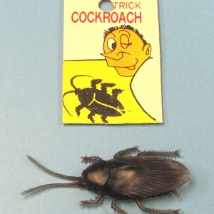 Cockroach Joke