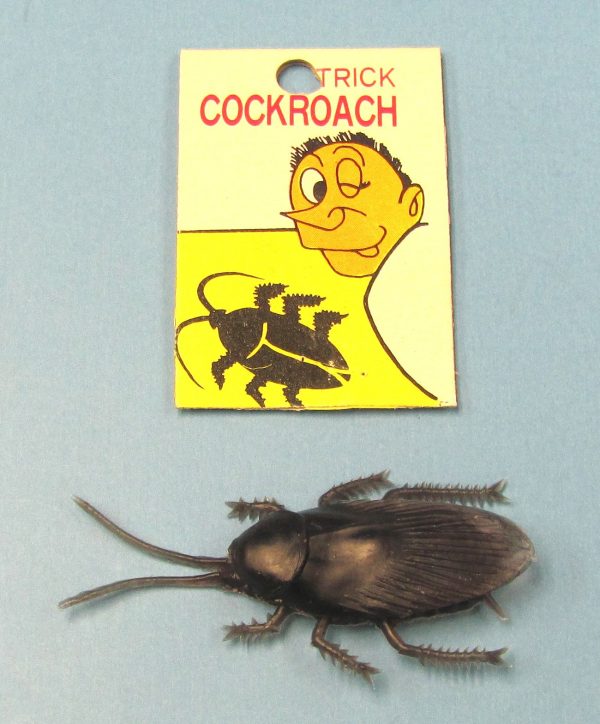 Cockroach Joke