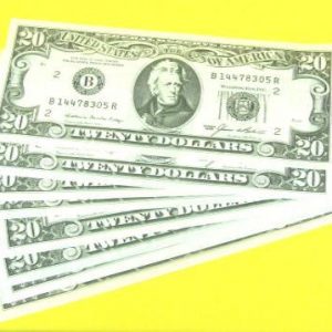 Jumbo Paper 20 Dollar Bills (10 Set)