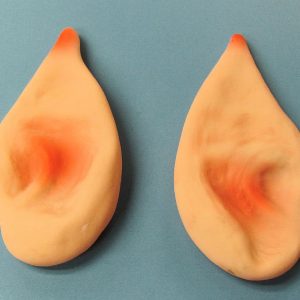 Pointed (Spock) Ears