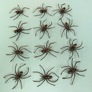 Spiders with Clips (Dozen)