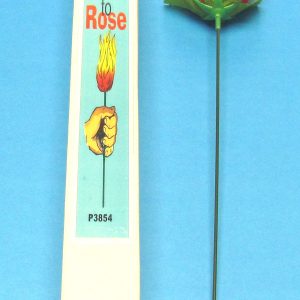 Torch to Rose