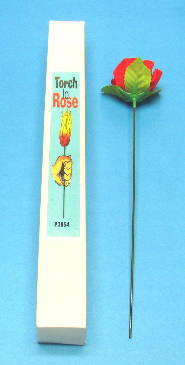 Torch to Rose