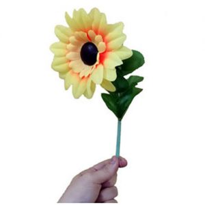 Drooping Sunflower