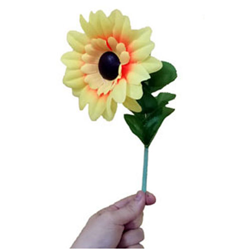 Drooping Sunflower