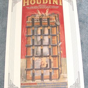 Houdini Water Torture Cell Poster