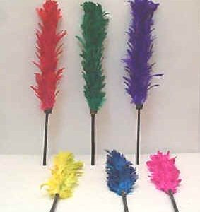 Color Changing Feathers - Small