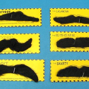 Set of 6 Different Character Mustaches