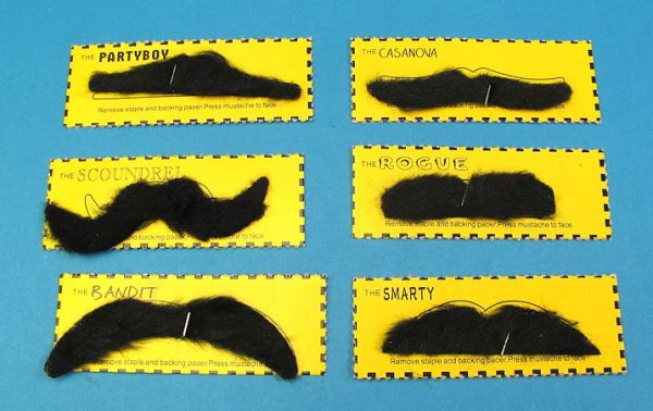 Set of 6 Different Character Mustaches
