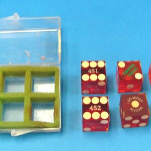 Six Las Vegas Dice in Plastic Case-2