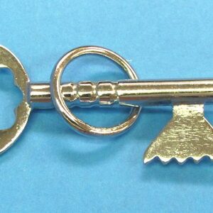 master key key and ring mystery 2