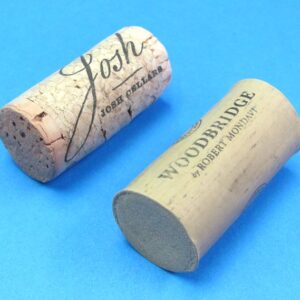 pair of hollow corks for coin in bottle trick #4