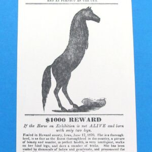 jenny the two legged horse ad reproduction