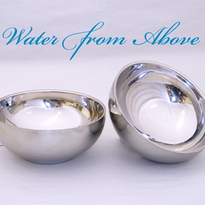 water from above bowls set chrome