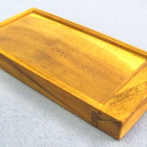 currency vault money holder