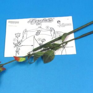 acrobatic rose (tvo farihaccia) 1999