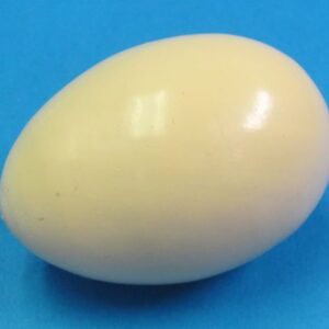 wooden egg (off white)