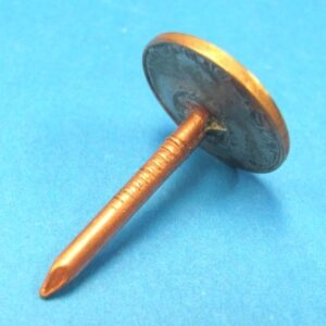 the penny "funny hole in your head" magic joke