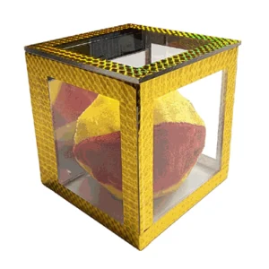 Crystal Ball Casket