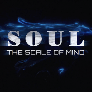 soul (gimmicks and online instructions) by wenzi