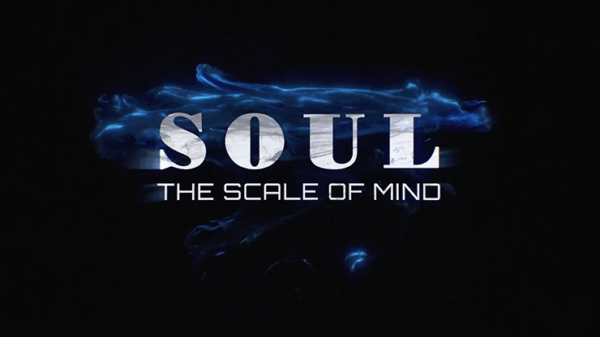 soul (gimmicks and online instructions) by wenzi