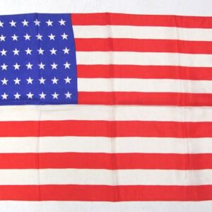 silk flag (15 x 22)
