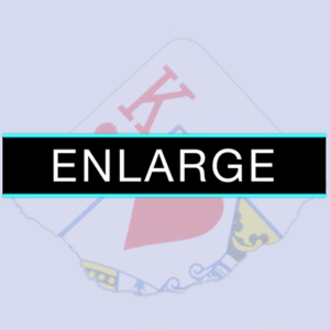 enlarge (dvd and gimmicks) by sansminds