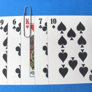 find the king observation test