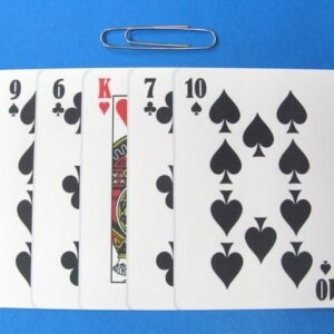 find the king observation test