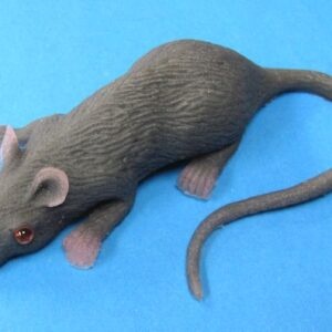 lifelike rubber mouse (loftus)