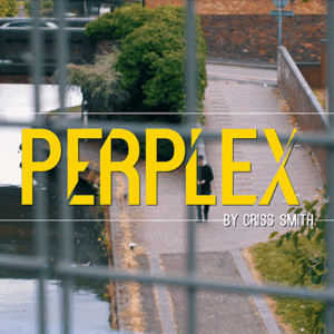 perplex by criss smith