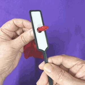 adair's black hole bat