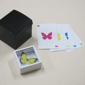 magic butterfly (tenyo) t 262