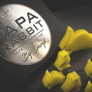 papa rabbit hits the big time by daryl