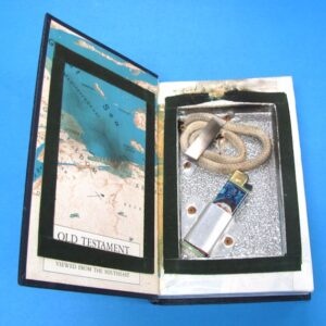 bible hot book (pre owned)