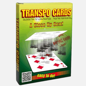 transpo cards by vincenzo di fatta