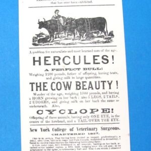 great living curiosities ad